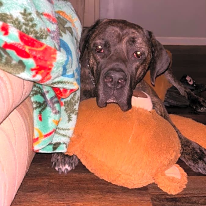 Photo of Zeus