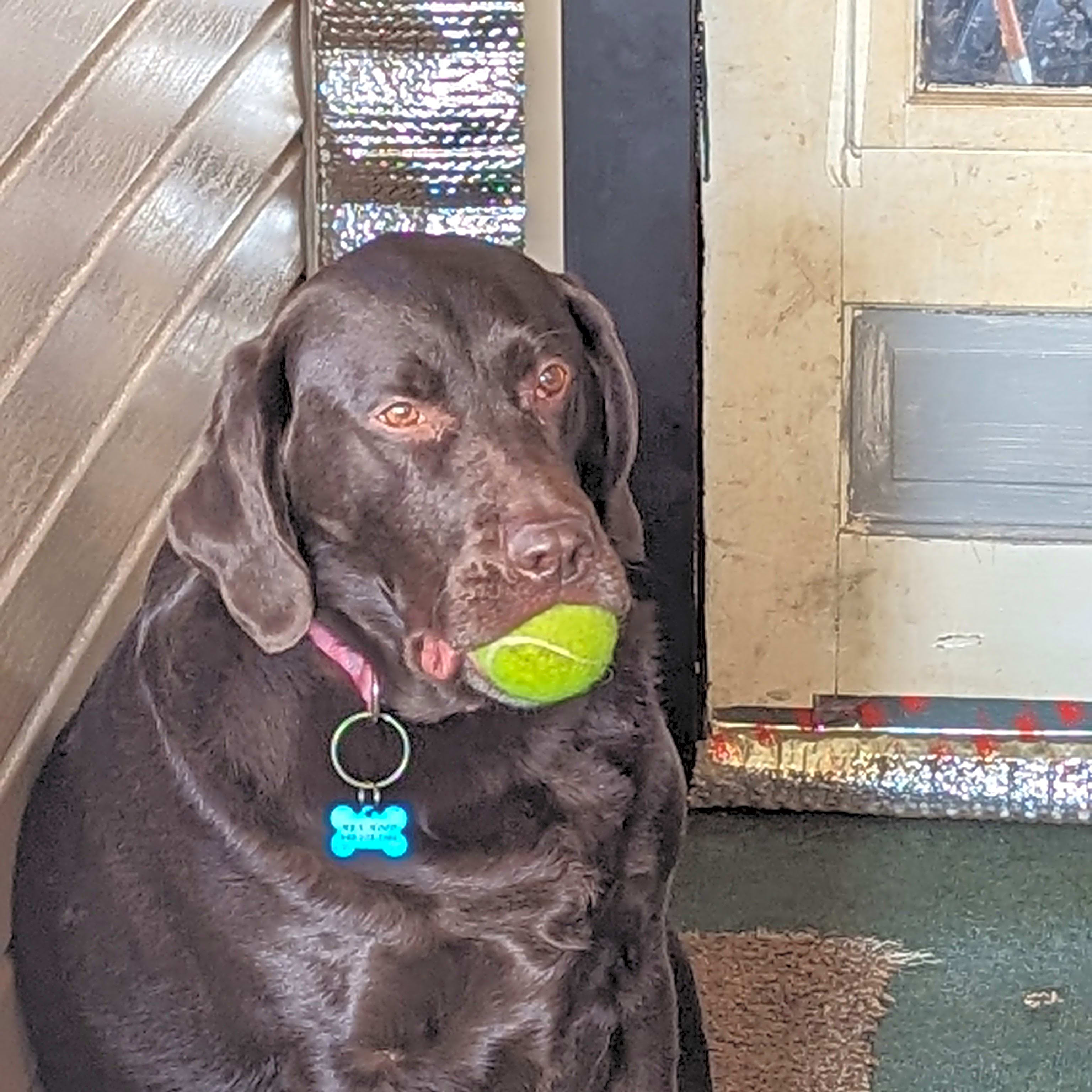 Photo of Mya