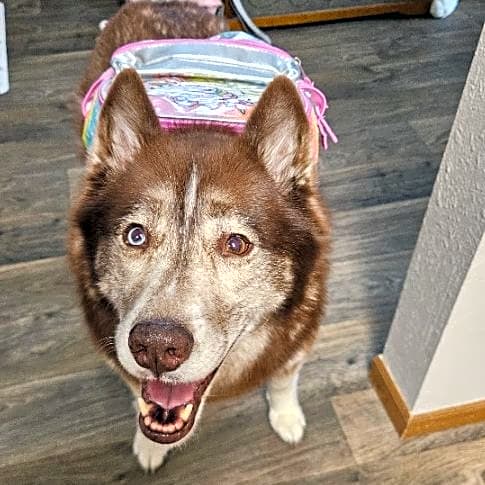 Photo of Mya