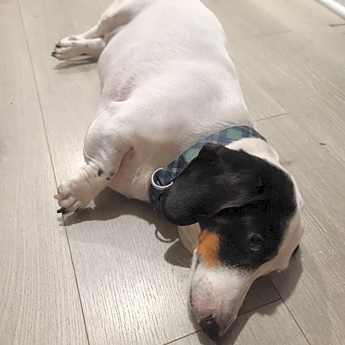 Photo of Colby