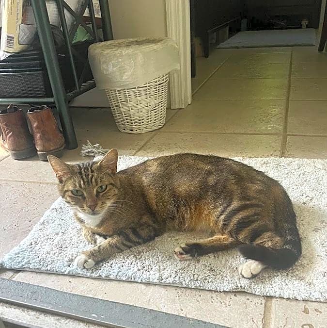 Photo of Luna
