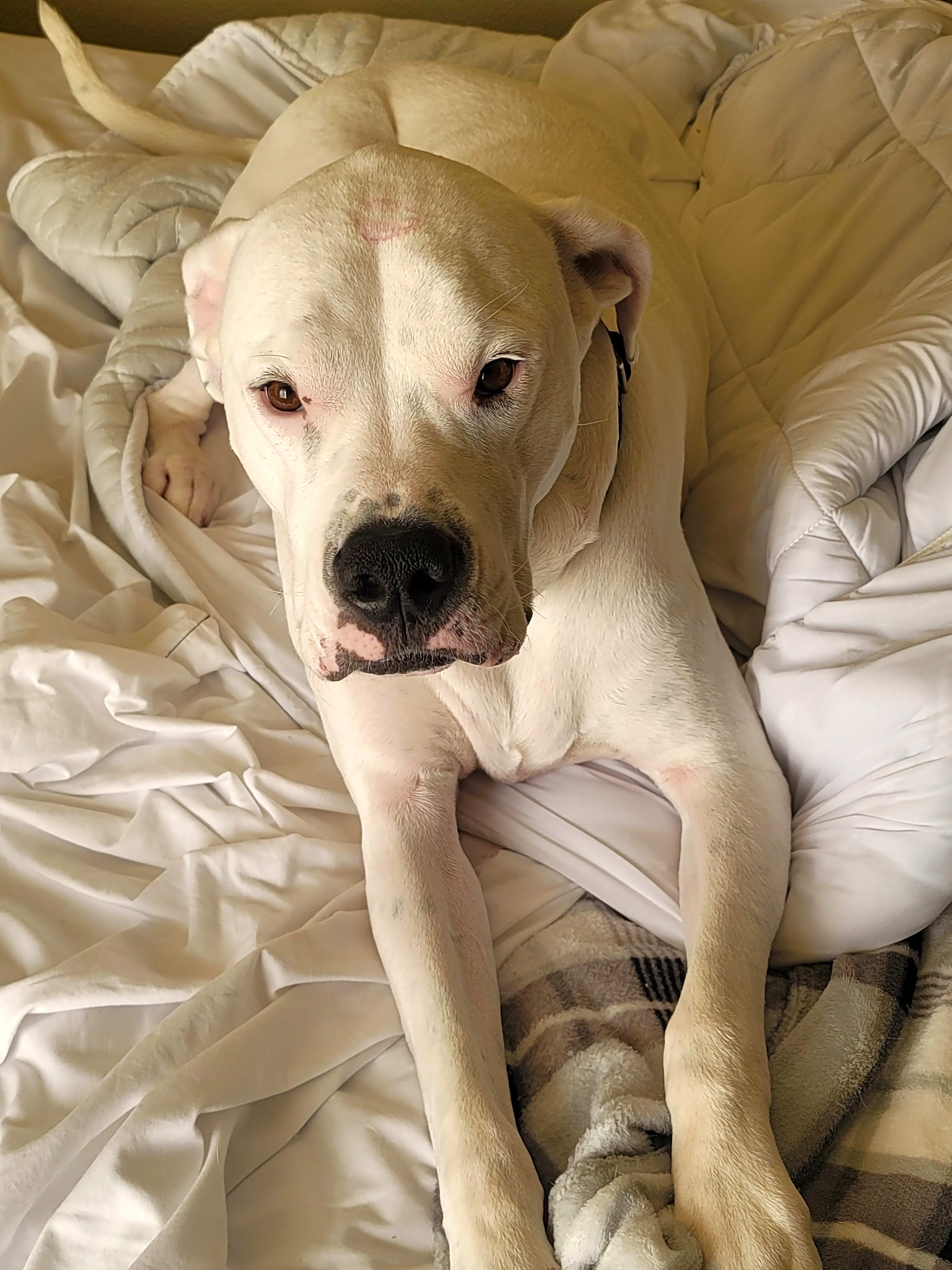 Photo of Kaos