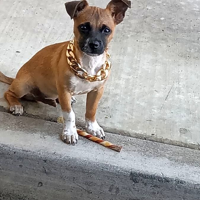 Photo of Handsome