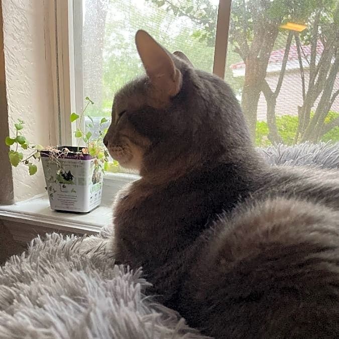 Photo of Sammie