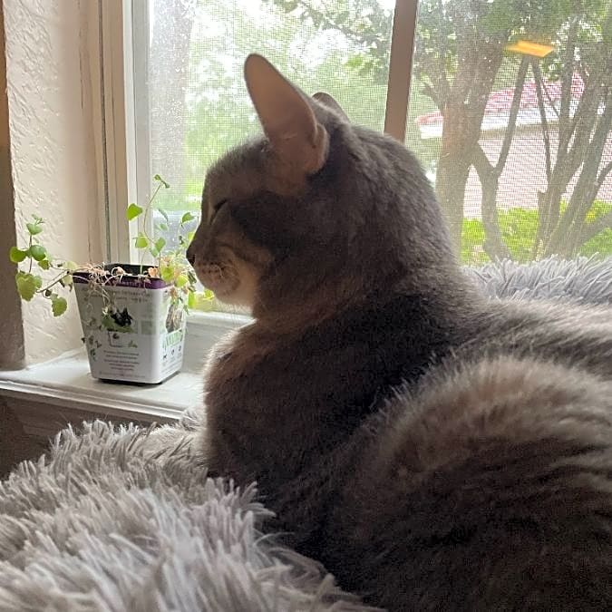 Photo of Sammie