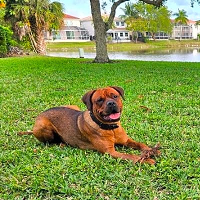 Photo of Kato