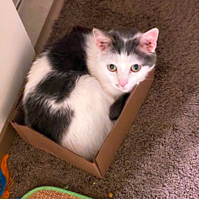 Photo of Spudy
