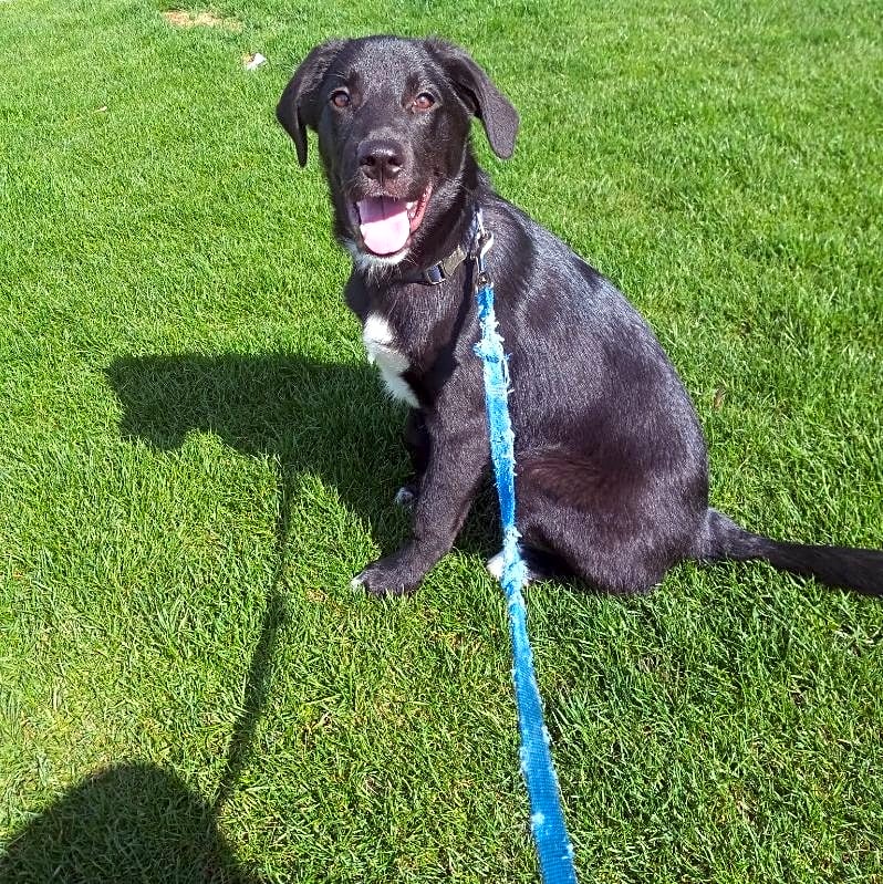 Photo of Chevy