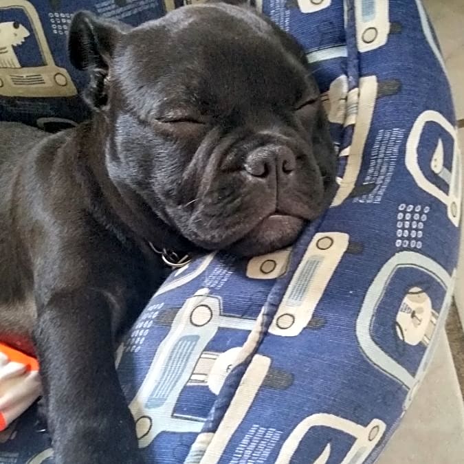 Photo of Onyx B. Nicholson