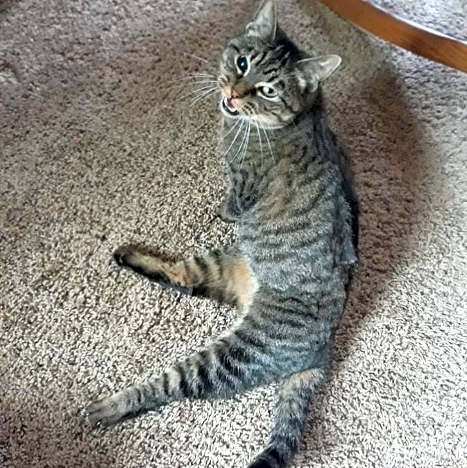 Photo of Kiki