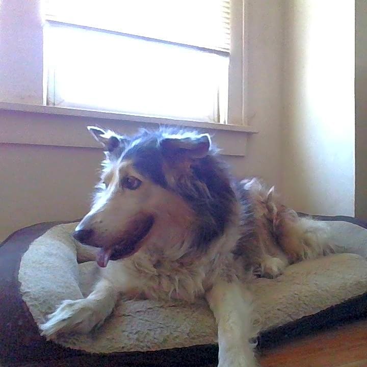 Photo of Mollie
