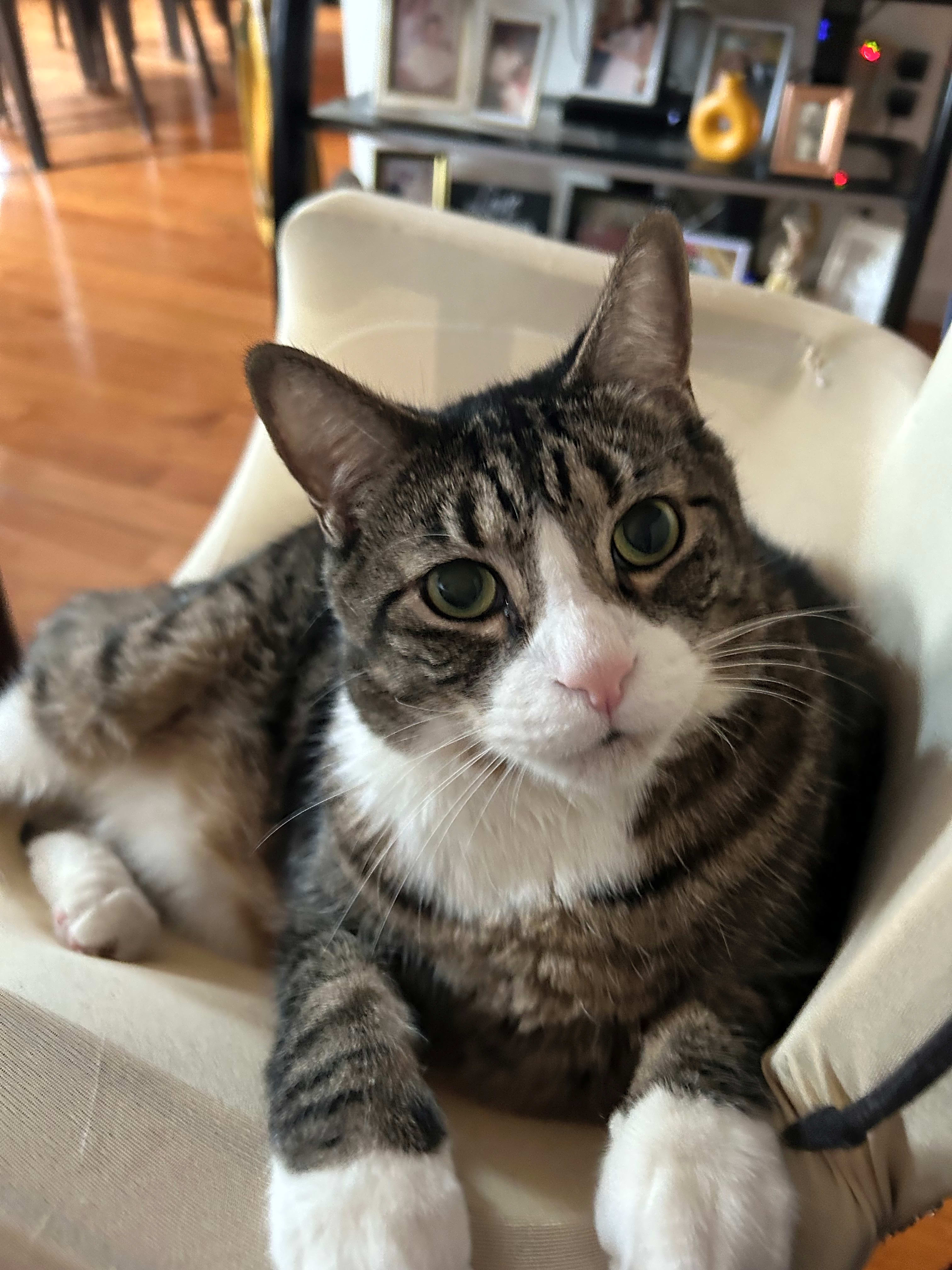 Photo of Angel