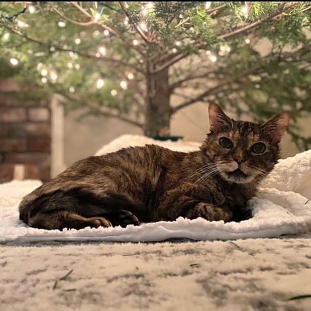 Photo of Babygirl