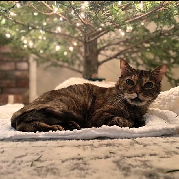 Photo of Babygirl