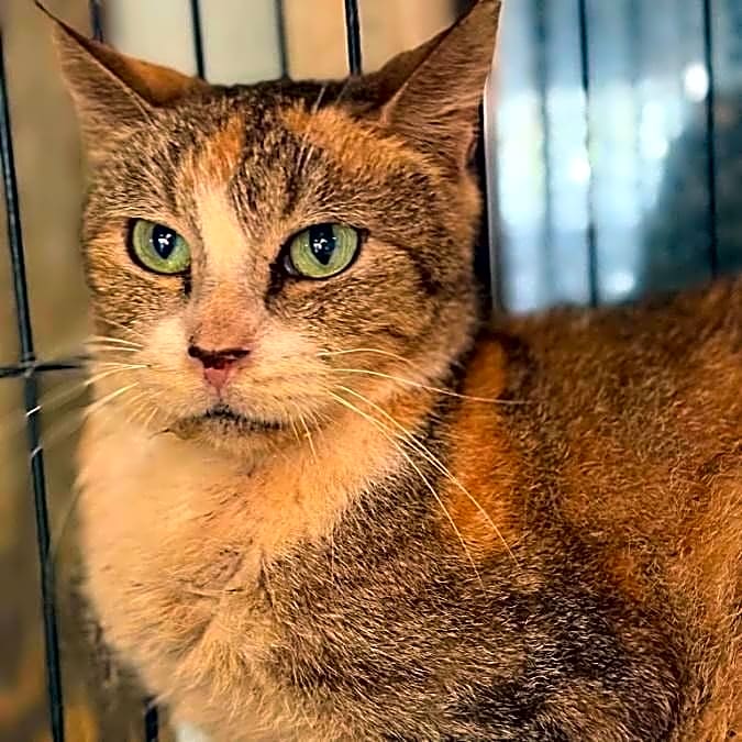 Photo of Miss Spicy