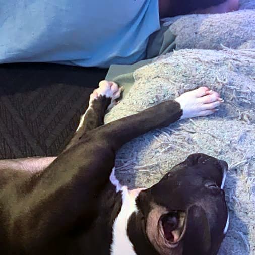 Photo of Loki