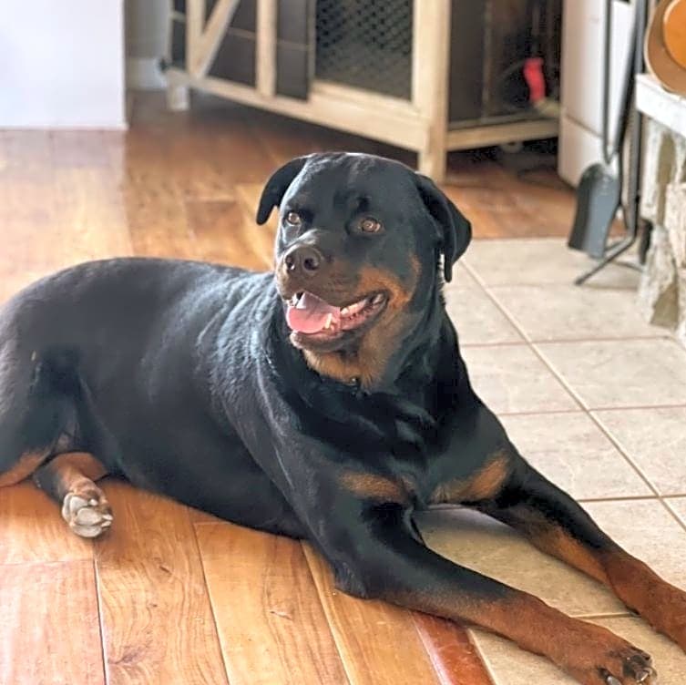 Photo of Nigel