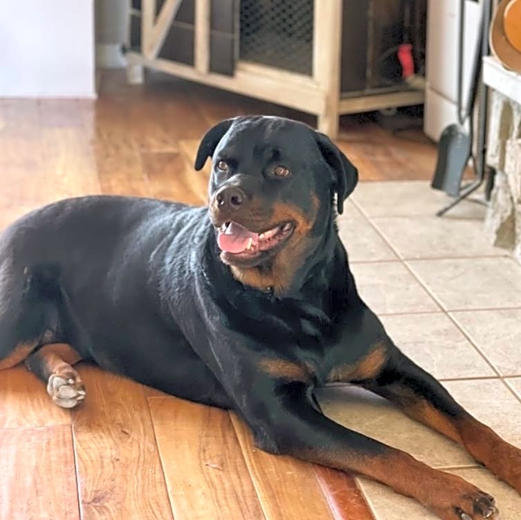 Photo of Nigel