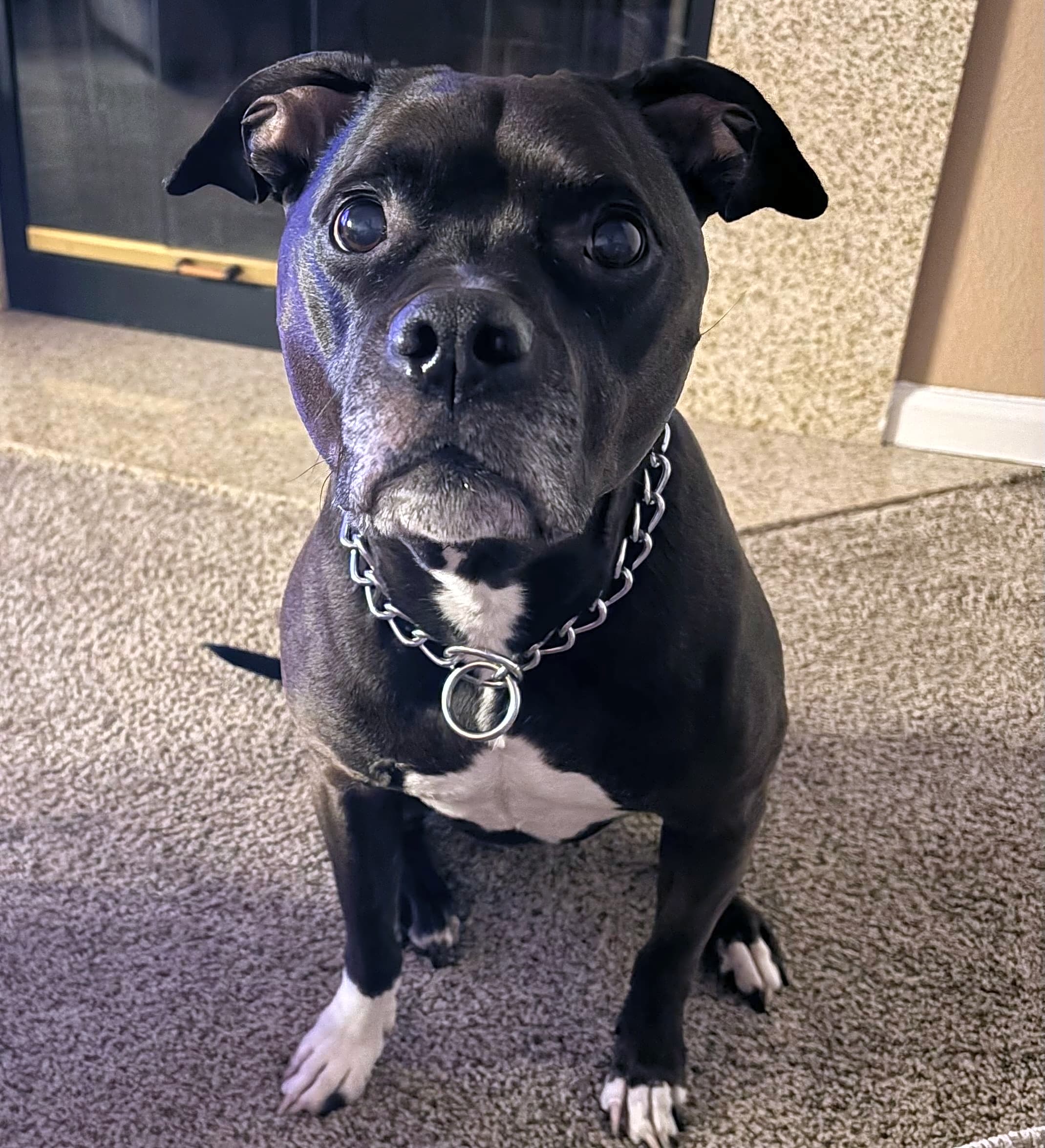 Photo of Bella Rose Roundtree