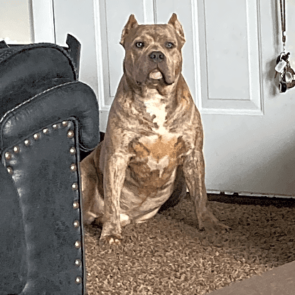 Photo of Roscoe