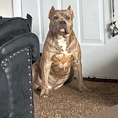 Photo of Roscoe