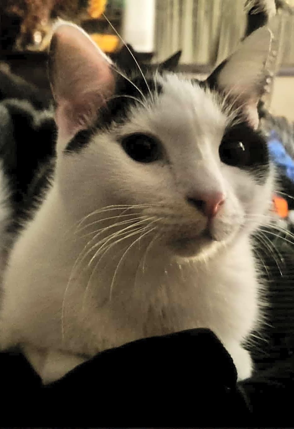 Photo of Kevin