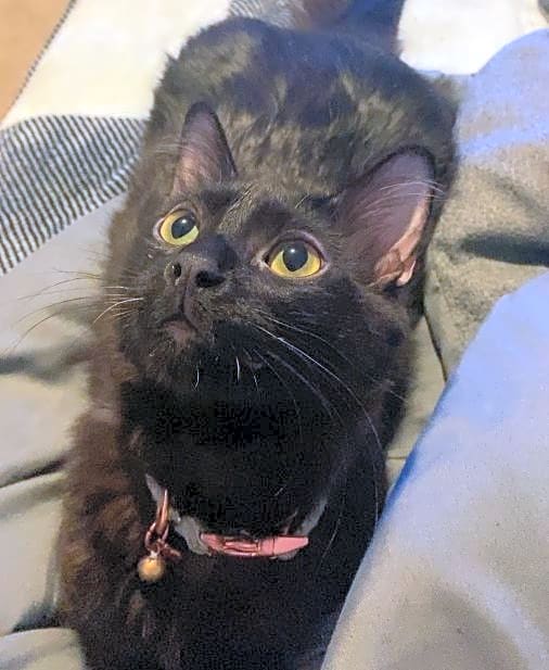 Photo of Lydia