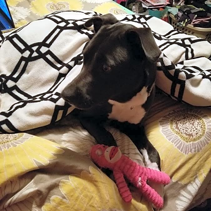 Photo of Molly Anne