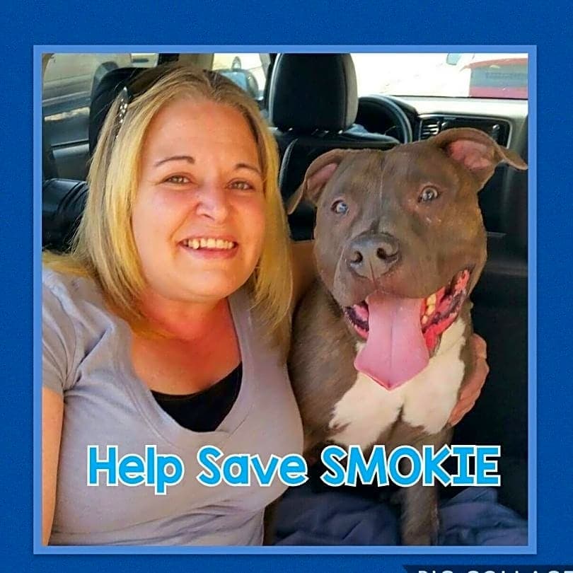 Photo of SMOKIE