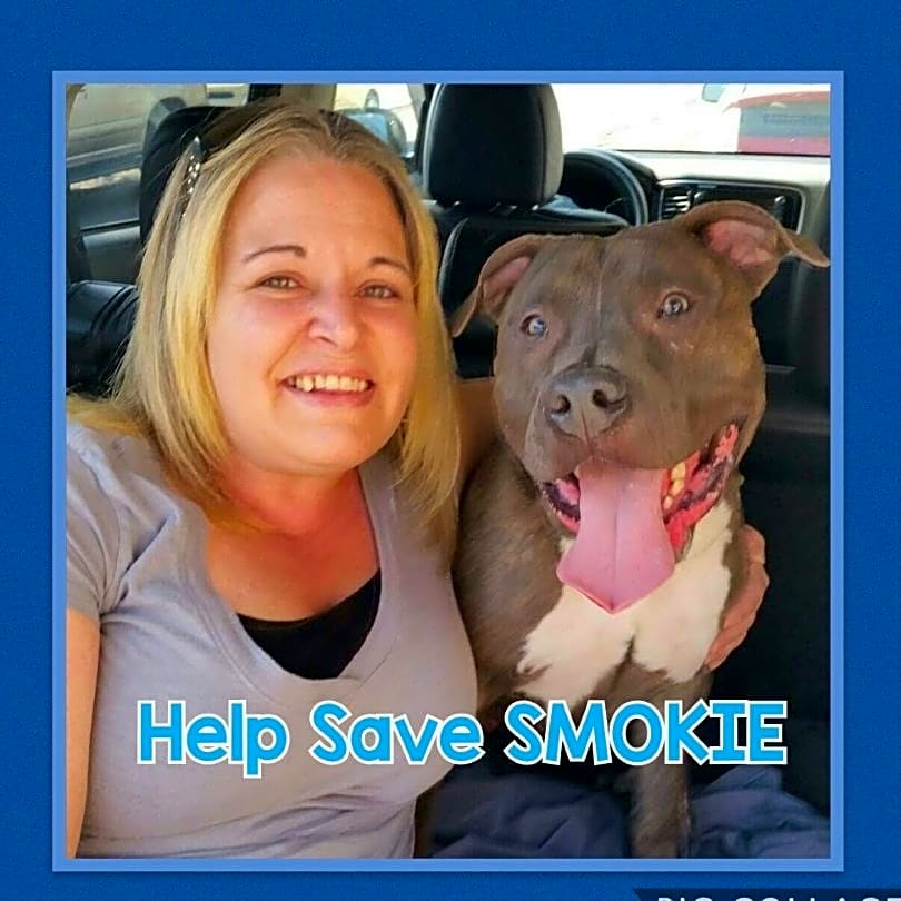 Photo of SMOKIE