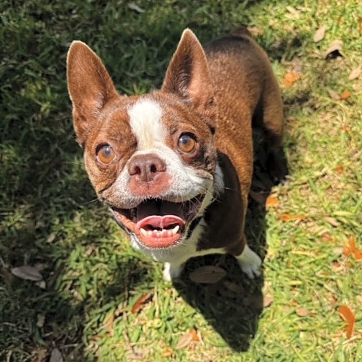 Photo of KAYA