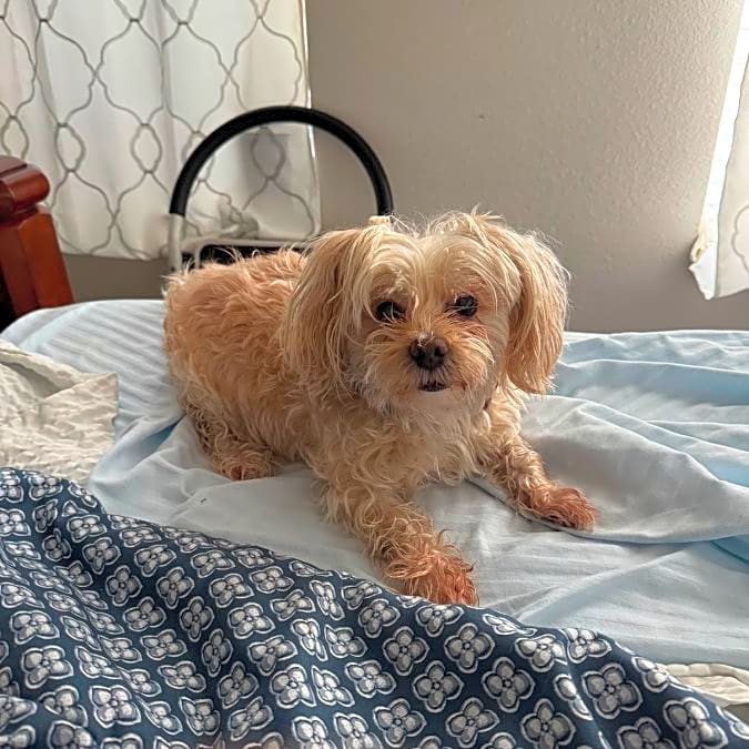 Photo of Zeus