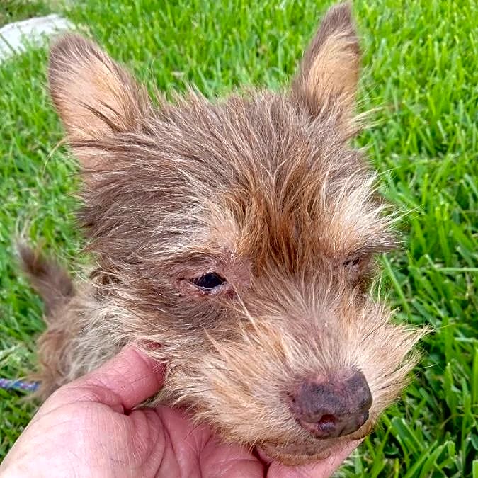 Photo of Coco