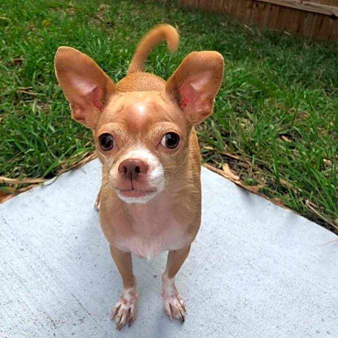 Photo of Muki