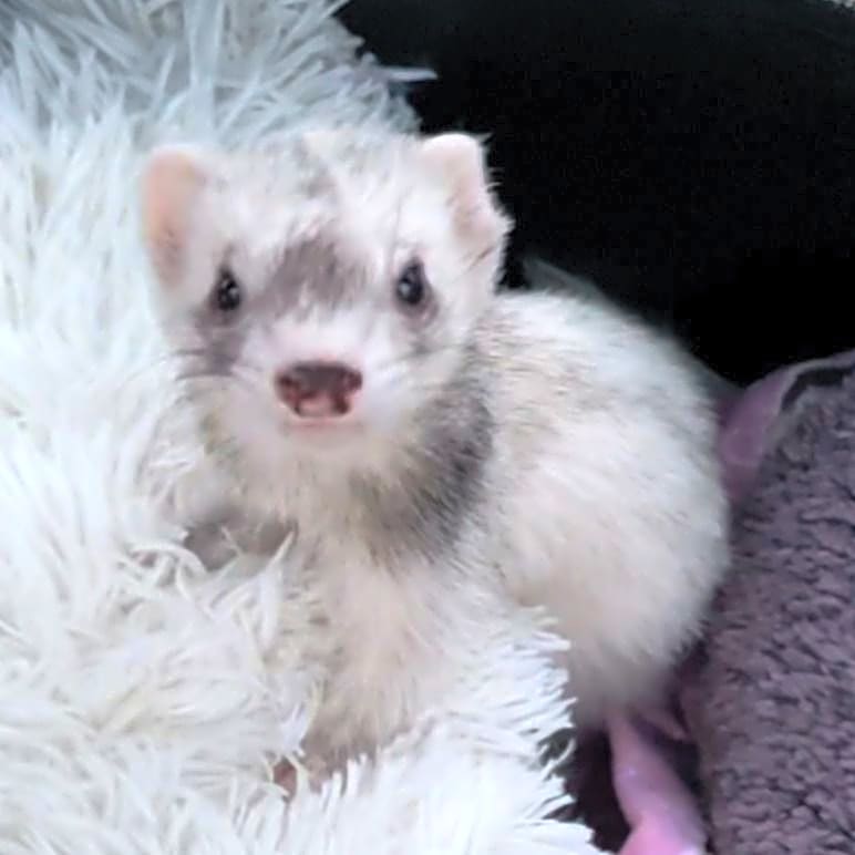 Photo of Lilith