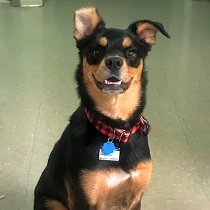 Photo of Bagel