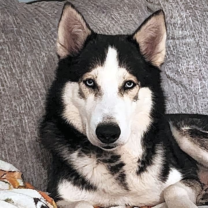 Photo of Zeus