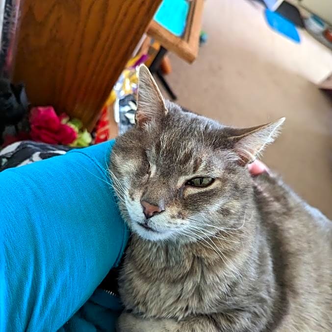 Photo of Ash