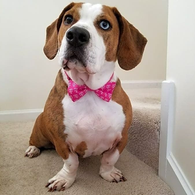 Photo of Jax