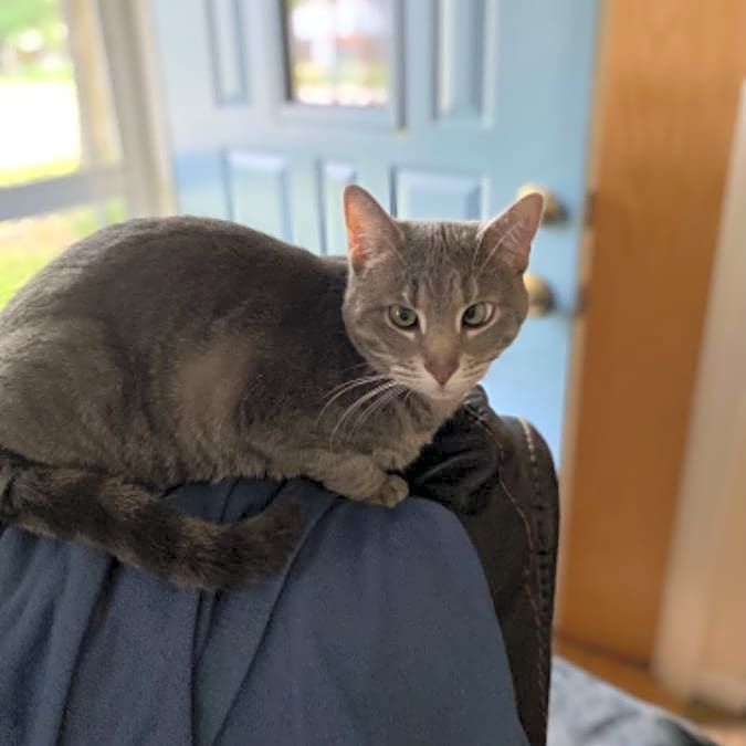 Photo of Lily