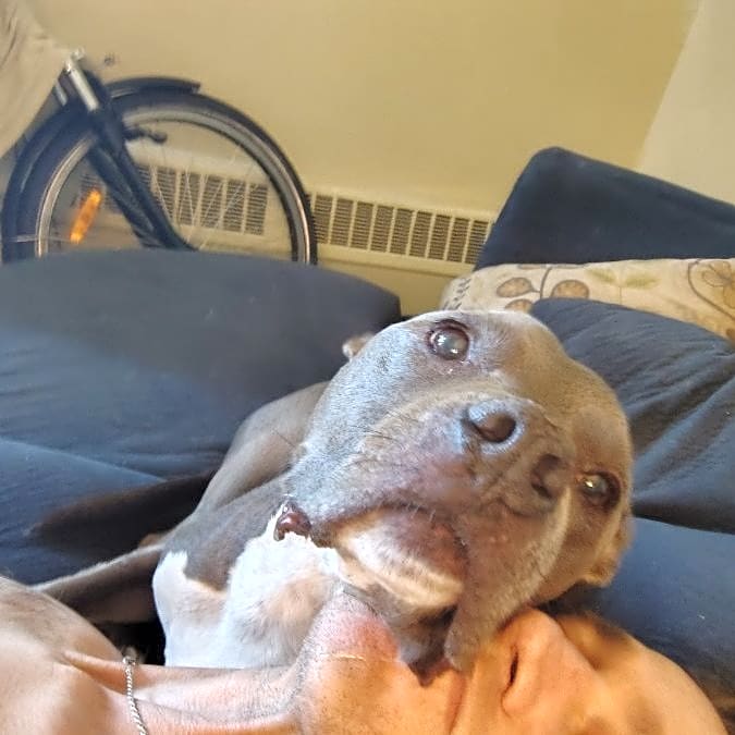 Photo of Chunk