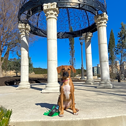 Photo of Valentina