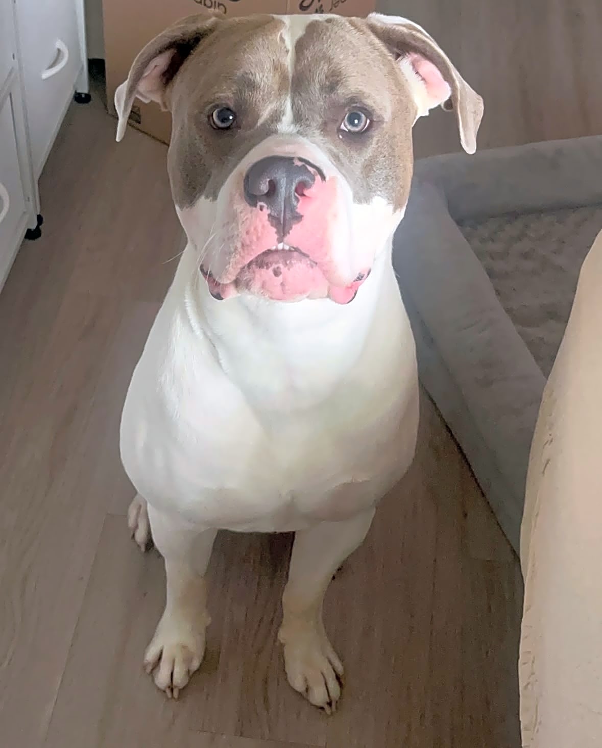 Photo of Milo