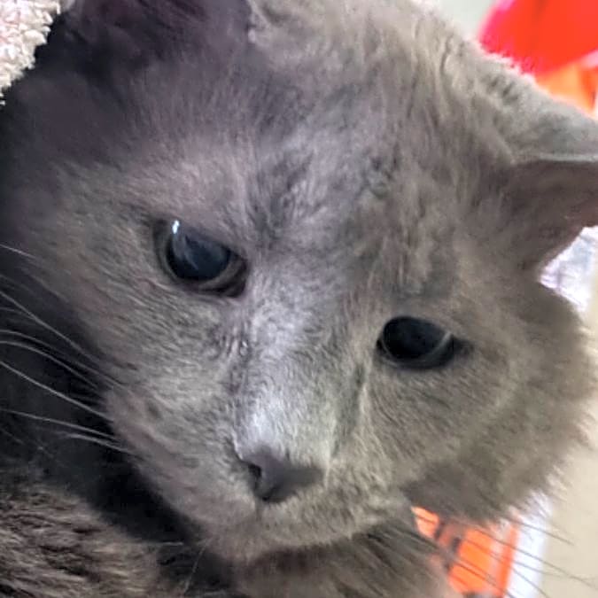 Photo of Gus