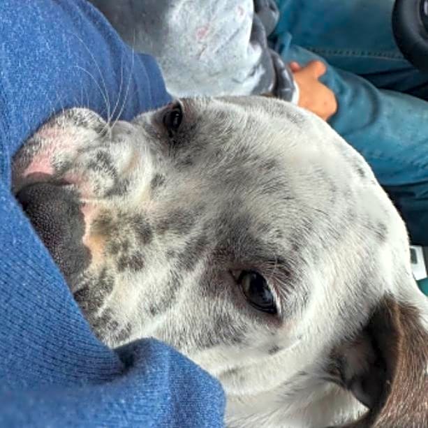 Photo of Zeus