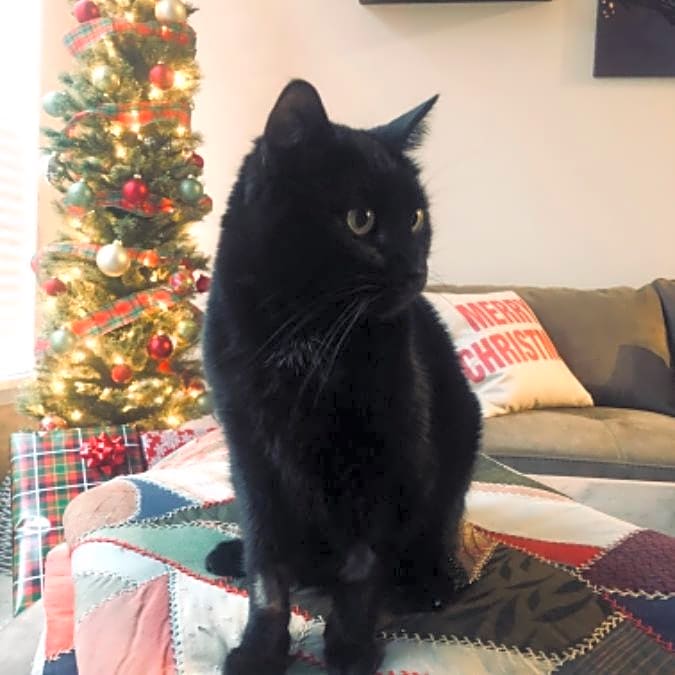Photo of Ernie