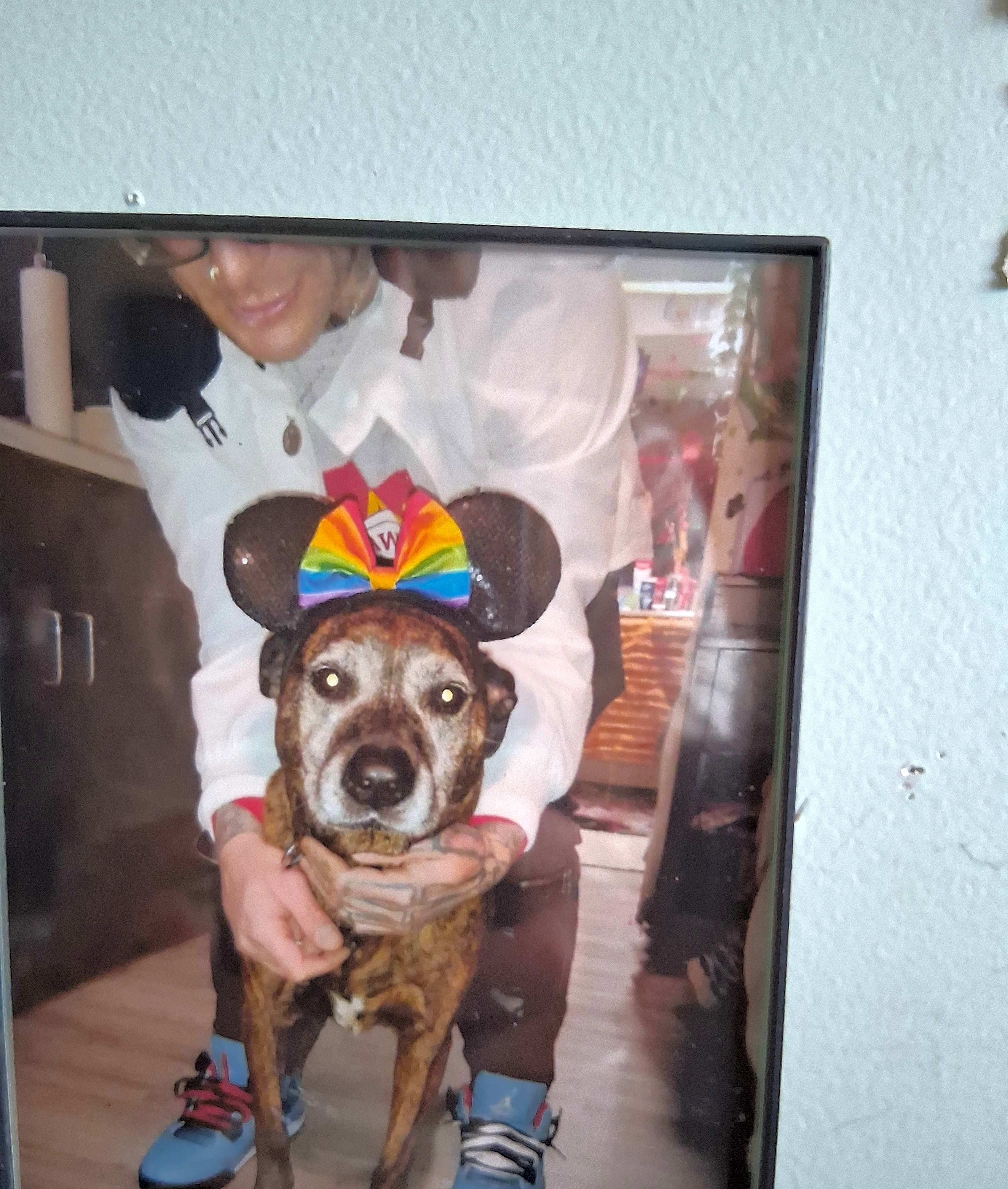 Photo of Luna