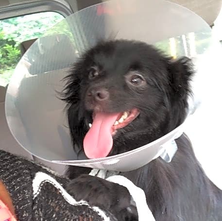 Photo of Chunk