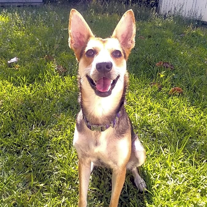 Photo of Luna
