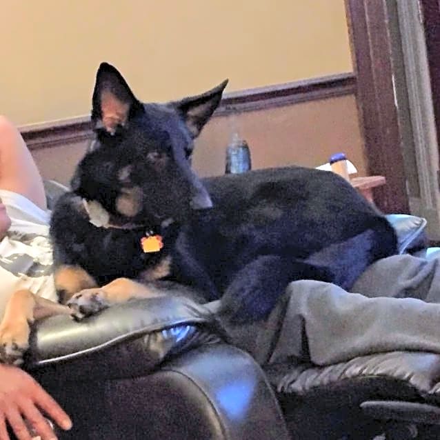 Photo of Major